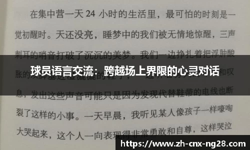 ng南宫28官方网站